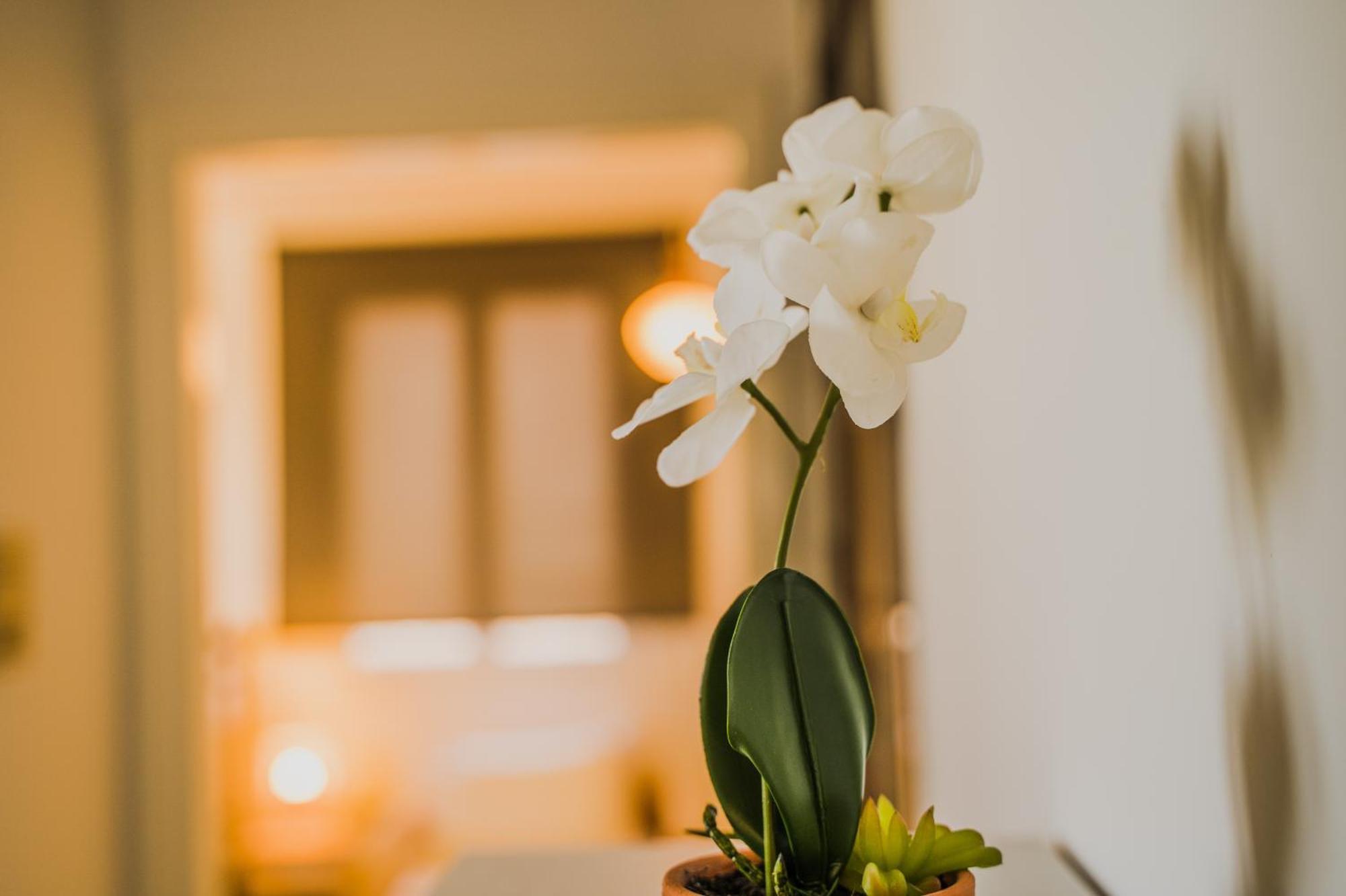 Green Apartment Ground Floor Feel Like Home Properties Saronida Экстерьер фото