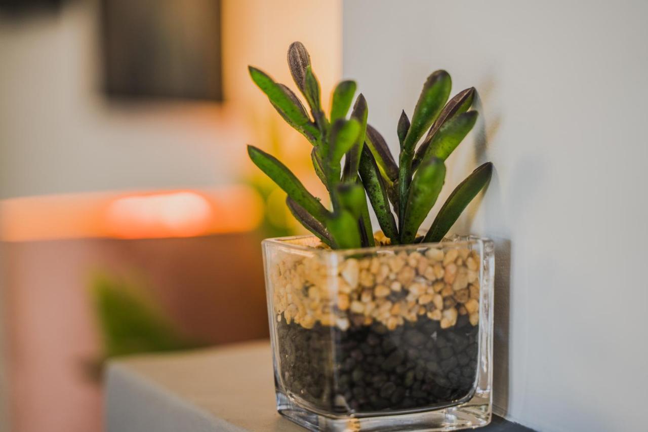 Green Apartment Ground Floor Feel Like Home Properties Saronida Экстерьер фото